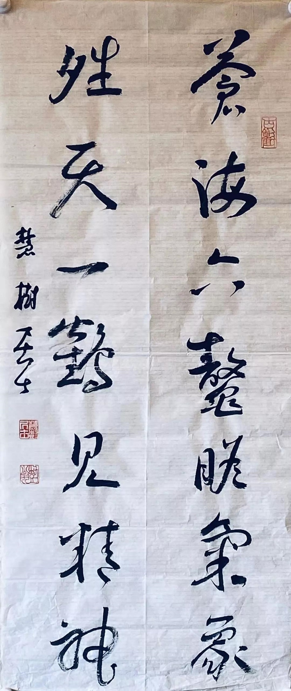 张树2.jpg