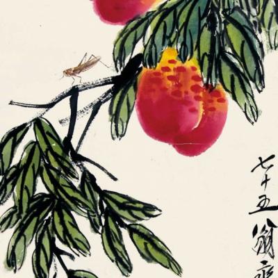 细节展示放大镜特效