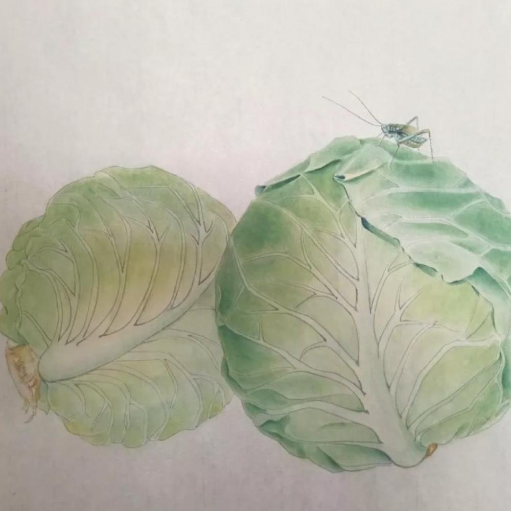 李文荣《蝈蝈白菜》
